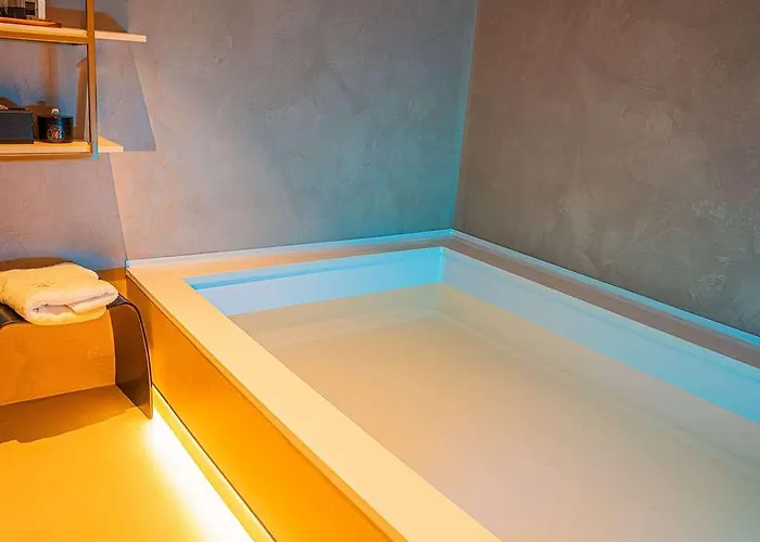 Ibis Center Hotell Timişoara